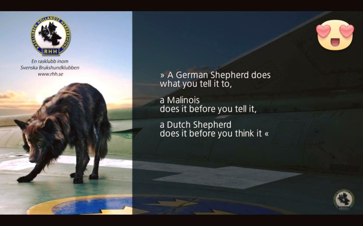 e8c31e31-8958-4285-bbf0-ce45299360e4