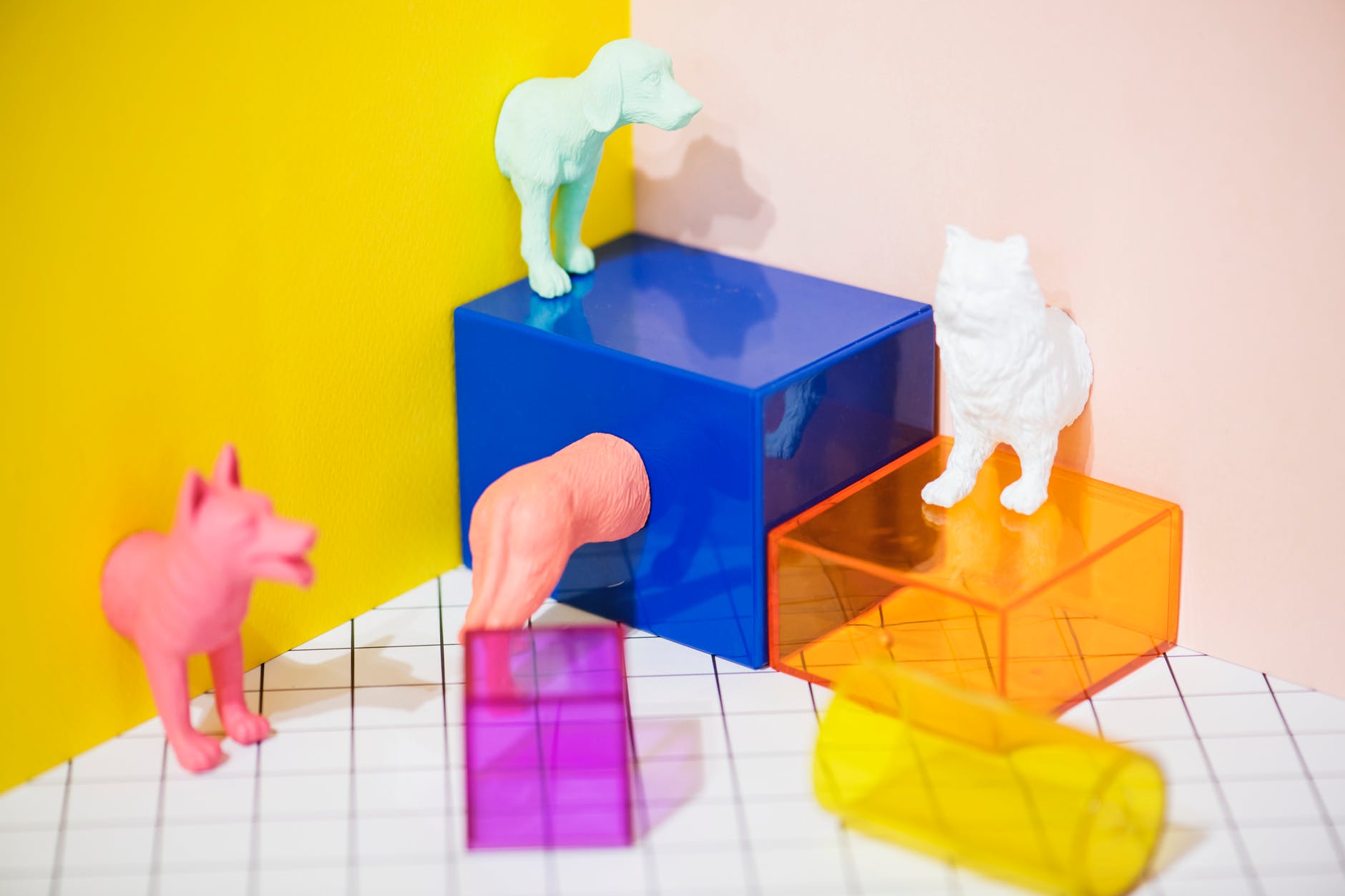 assorted color transparent boxes