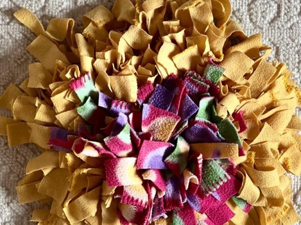 Attivazione mentale per il cane: meglio la ciotola o il tappeto olfattivo?